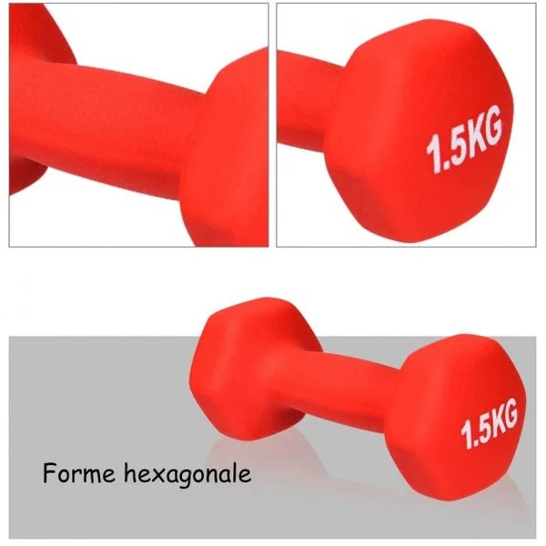 3 Paires d’Haltères avec Support de Stockage 2x1kg Orange + 2x15kg Rouge + 2x2kg Violet Poignée Ergonomique en Fer
