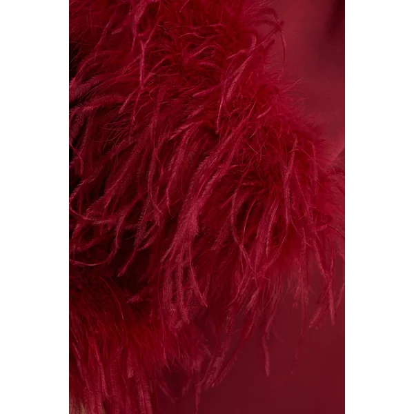 Adella | Robe longue en satin bordeaux avec finitions en plumes
