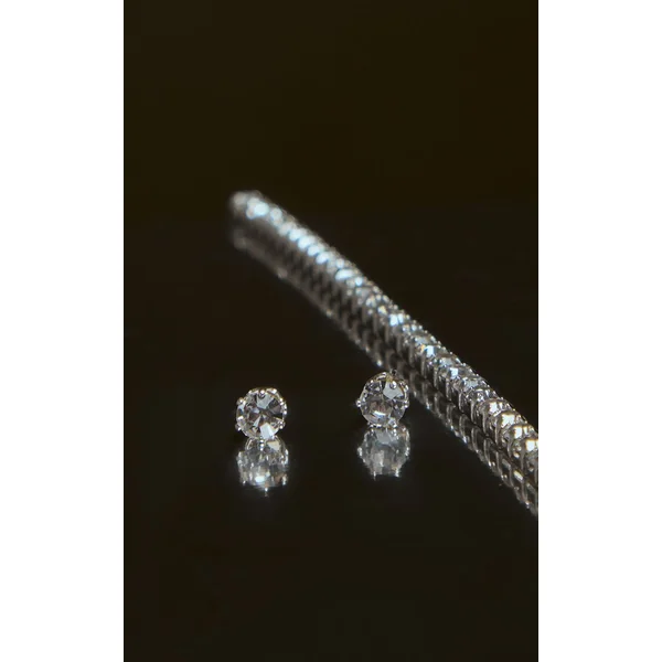 Argenté Ensemble Délicat De Clous D'oreilles Et Collier