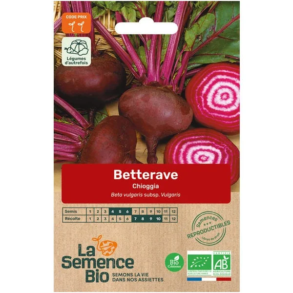 Betterave Chioggia semence 3,5g