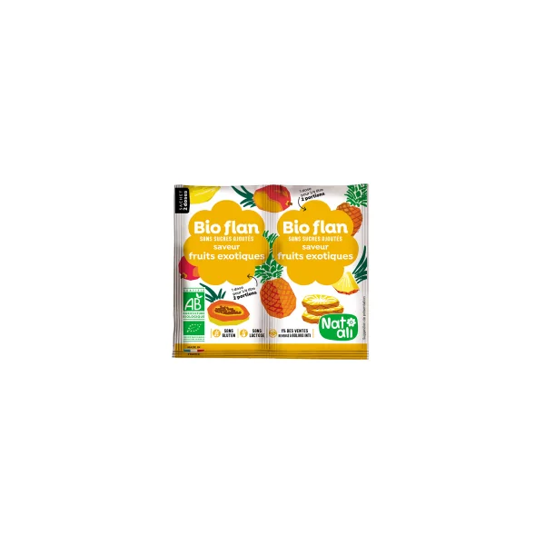 Bioflan fruits exotiques bio sans sucre ajouté - 2 sachets de 4g