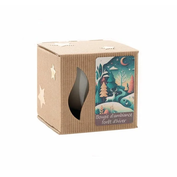 Bougie forêt d'hiver 77g