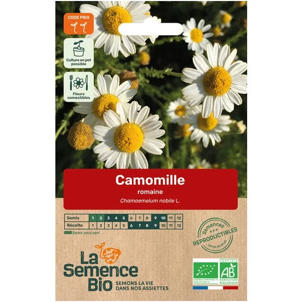 Camomille romaine semence 0,07g