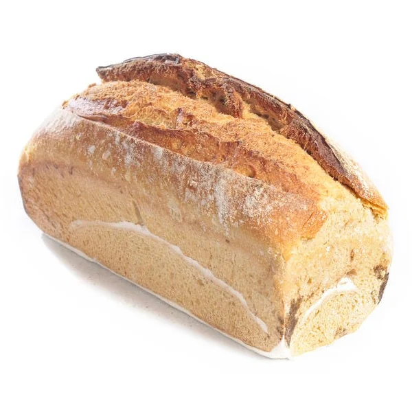 Campagne T65 400 Moulé