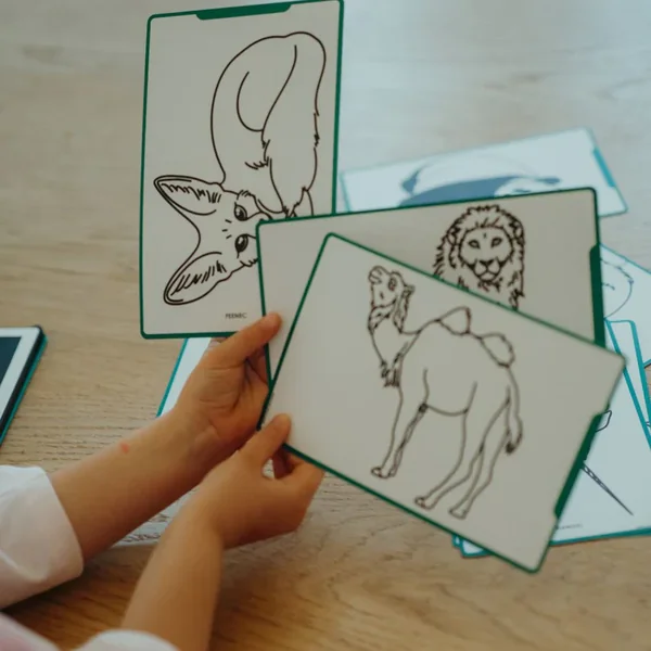 Cartes supplémentaires KIDYDRAW MINI - Thèmes "Animaux autour du monde et Océans & Pirates " - Soins Bébé Naturels & Produits Maman Après Naissance
