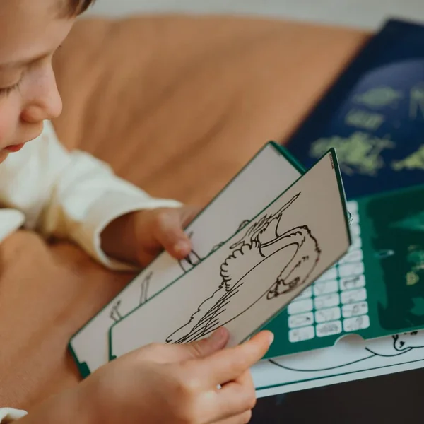 Cartes supplémentaires KIDYDRAW MINI - Thèmes "Animaux autour du monde et Océans & Pirates " - Soins Bébé Naturels & Produits Maman Après Naissance