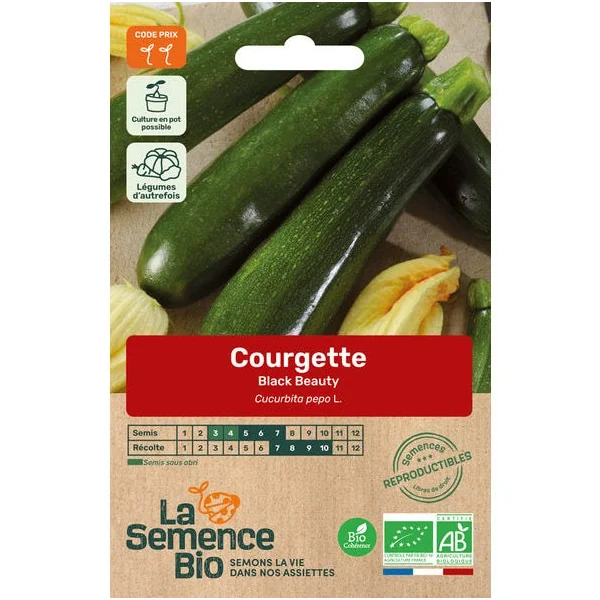 Courgette Black Beauty semence 3g