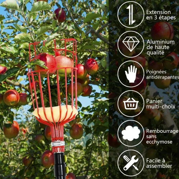 Cueilleur de Fruit Réglable de 145 cm-366 cm Ultra Léger Manche Télescopique Panier Pivotant en Aluminium et Fer Noir