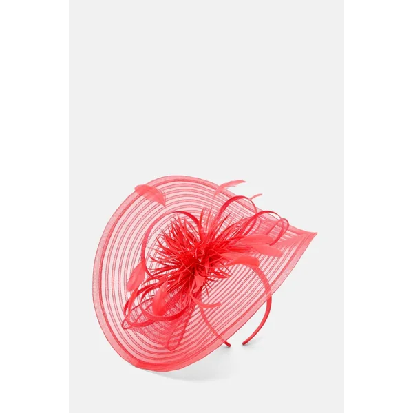 Fascinator à détails de plumes