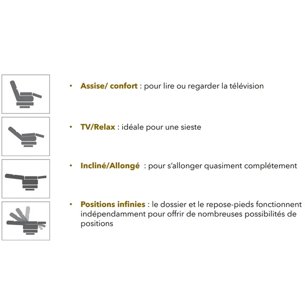 Fauteuil releveur bi-moteurs Gris SBF 292 - Oplus Médical
