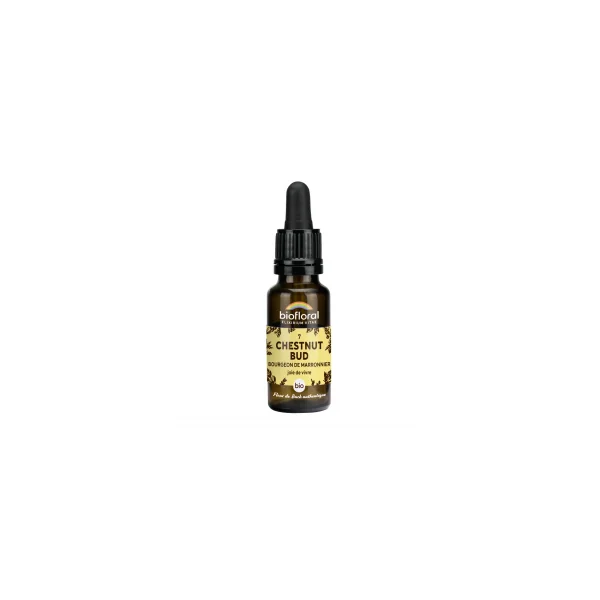 Fleur de Bach n°07 - Chesnut bud, Bourgeon de marronnier bio - Compte goutte 20ml