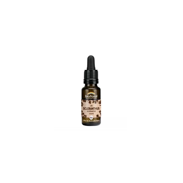 Fleur de Bach n°28 - Scleranthus, Scléranthe bio - Compte goutte 20ml