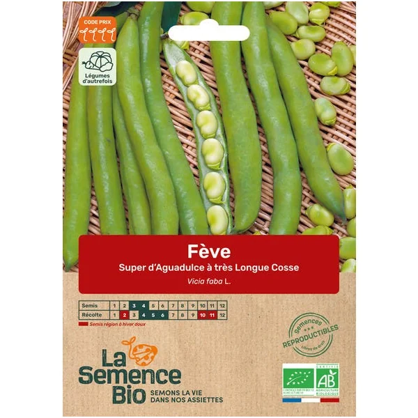 Fève Super d'Aguadulce à très Longue Cosse semence 70g