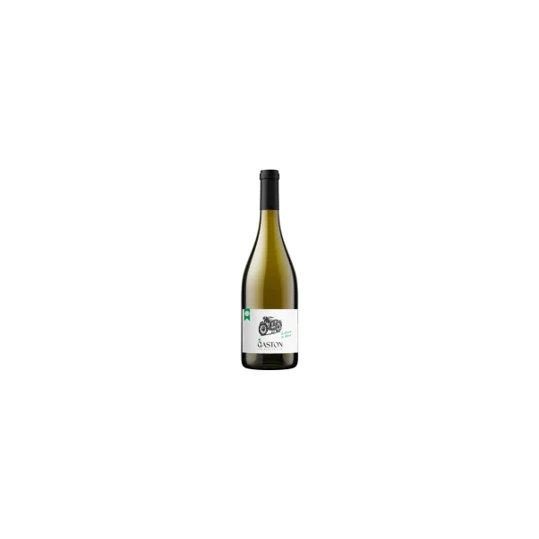 Gaston La Bécane de Mamie - Vin blanc de France bio - 75cl