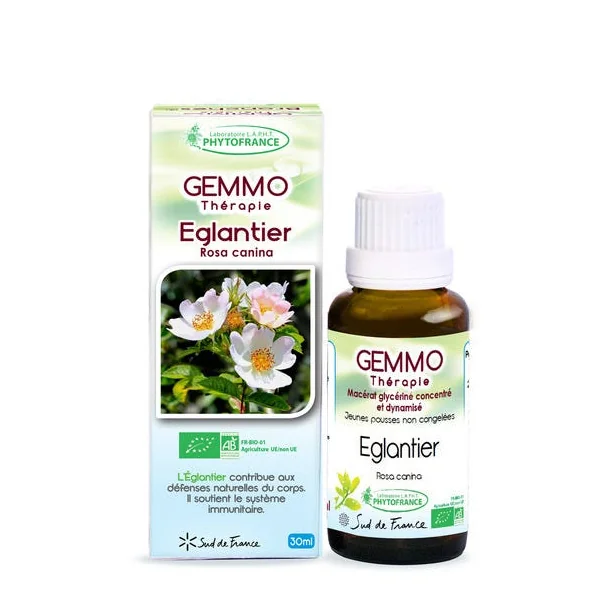 Gemmothérapie Eglantier 30ml