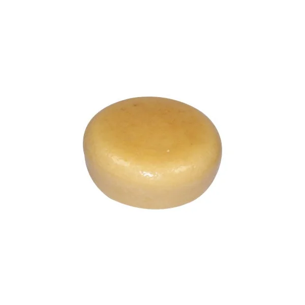 Gouda vieux Lpast 12 mois 42%MG