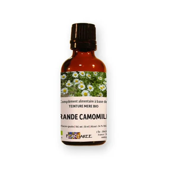 GRANDE CAMOMILLE