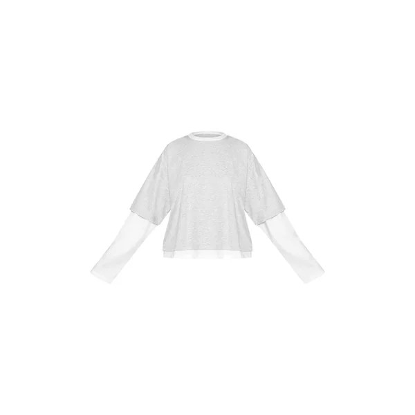 Gris Cendré T-shirt Petite À Manches Longues Double Couche Coupe Boxy