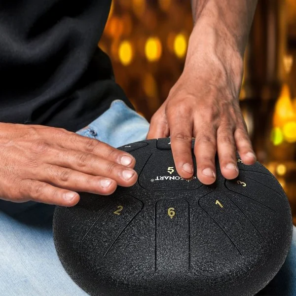 Handpan Tambour de Langue à 11 Tons en Acier de 10 Pouce avec Baguettes Sac 4 Plectres