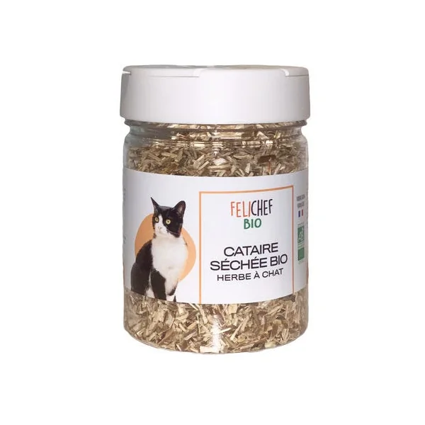Herbe à chat cataire 40g