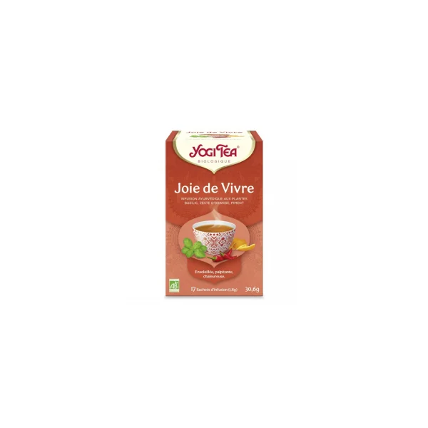 Joie de vivre - Infusion ayurvédique aux plantes bio - 17 infusettes