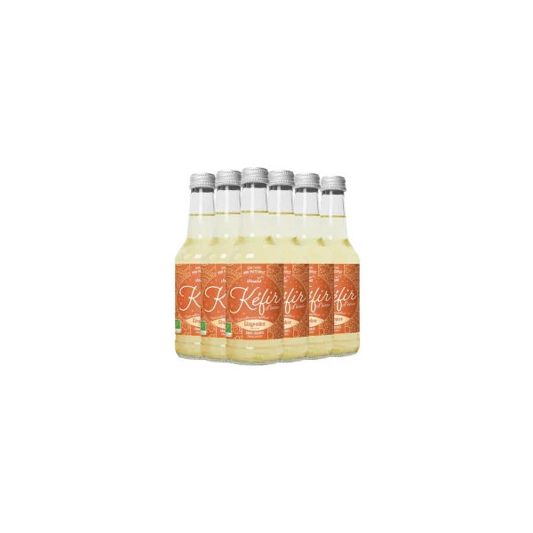 Kéfir au gingembre bio - 6x25cl