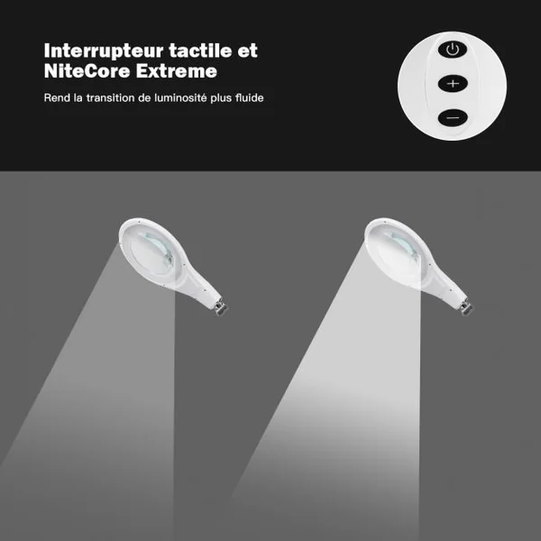 Lampe de Table et Loupe x2,25 Esthétique à Led 11w avec Pince et Bras 40 Cm Oscillant Luminosité Ajustable 6000-7000k