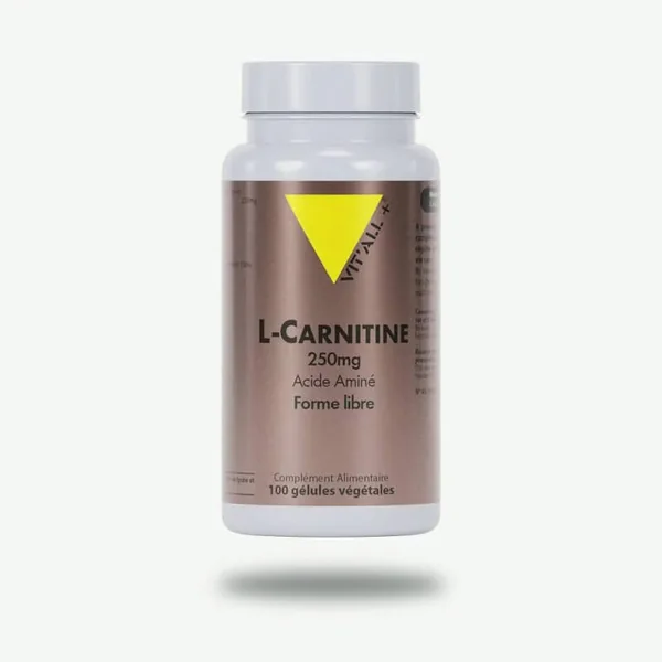 L-carnitine 250mg 50 gélules