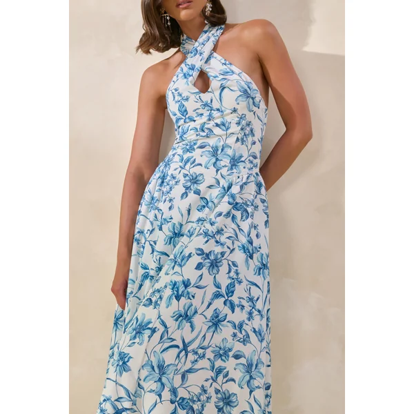 Liana | Robe longue à encolure dos nu avec imprimé porcelaine bleu