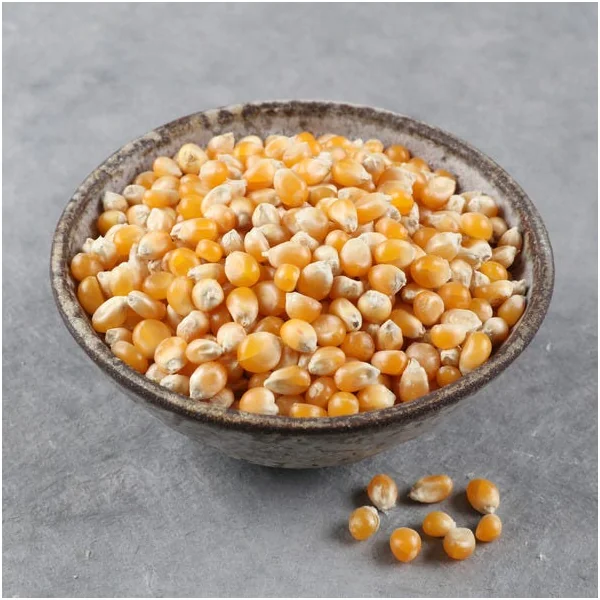 Maïs pop corn France Bio