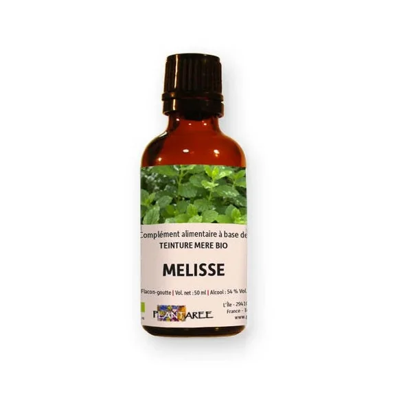 MELISSE