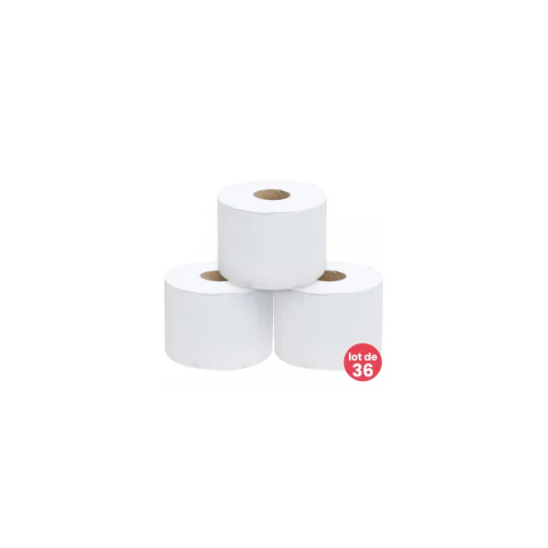 Papier toilette 100% recyclé - Lot de 36 rouleaux
