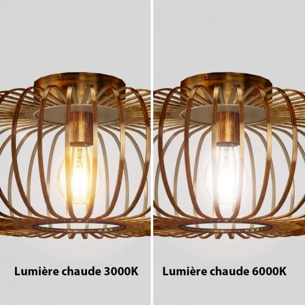 Plafonnier en Métal Ø40cm IP20 pour Ampoule(non incluse) Max.60w ou Halogène E27