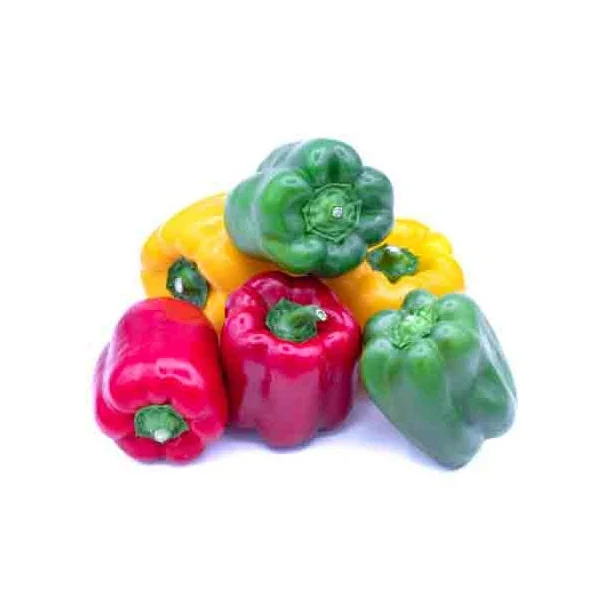 Poivron Multicolore
