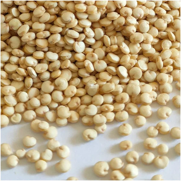 Quinoa blanc de Montagne