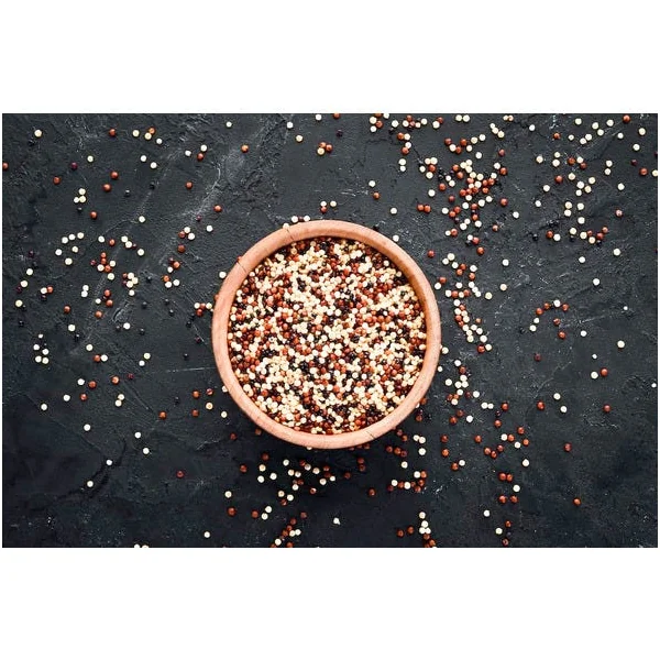 Quinoa duo de Montagne