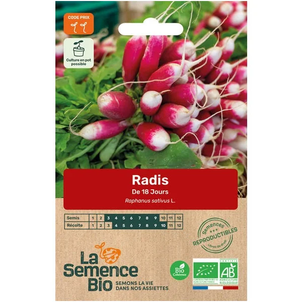 Radis de 18 jours semence 3g