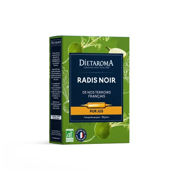 Radis noir CIP ampoule (20) 200ml