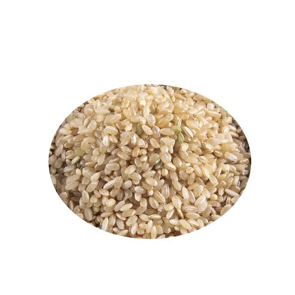 Riz long complet IGP Camargue Bio