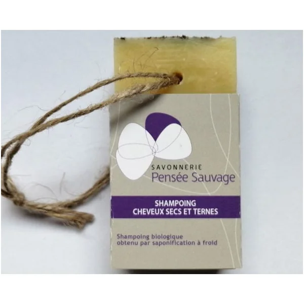 Shampoing Cheveux secs et ternes