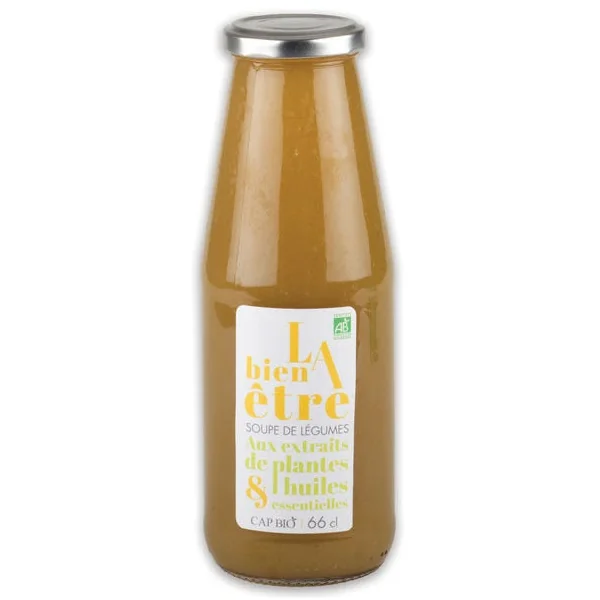 Soupe de légumes bien être
