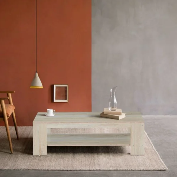 Table Basse Moderne Robuste avec Étagère de Rangement Capacité Table 15kg Étagère 8kg en Mdf 120x55x34cm Noyer