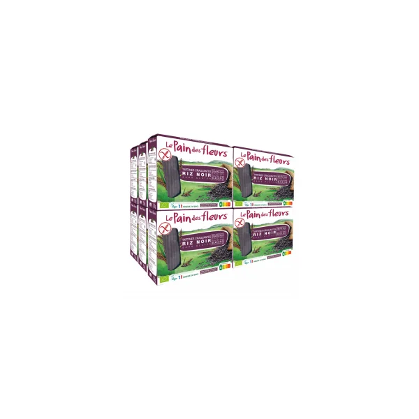 Tartines craquantes bio au riz noir sans gluten - Lot de 12x150g