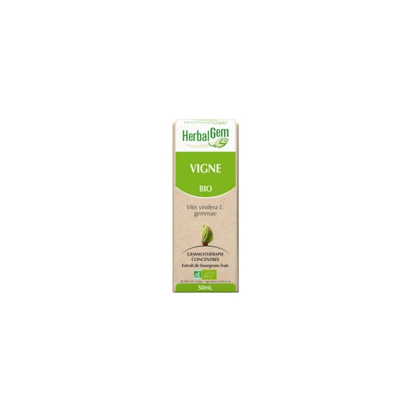 Vigne - Macérat-mère - 50ml