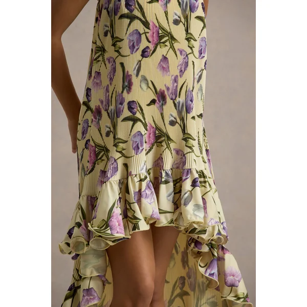 Whistler | Robe longue chiffon floral tulipe décolleté bandeau et froncée
